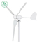 600W kleine windturbine generator verticaal blad driehoekig dubbel draaipunt