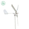 600W Windturbine Generator 3 Bladen Wind Driven Generators aangepast formaat