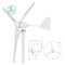 Home 600W 12V 24V Windturbine Windgeneratoren Compacte structuur